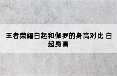 王者荣耀白起和伽罗的身高对比 白起身高